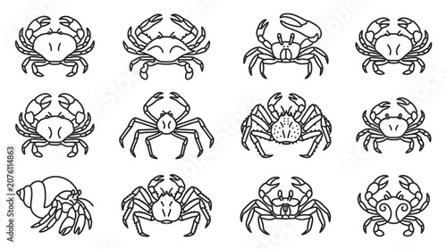 Bilde på lerret Detailed Illustrations of Various Crabs.