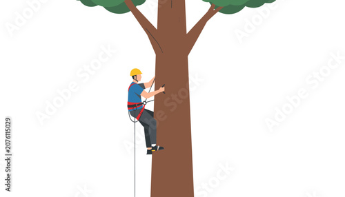 Professional tree climber wearing safety gear and a helmet while working securely suspended on a large tall tree trunk.
