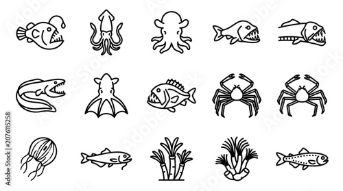 Valokuva Sea creatures and ocean animals icons.