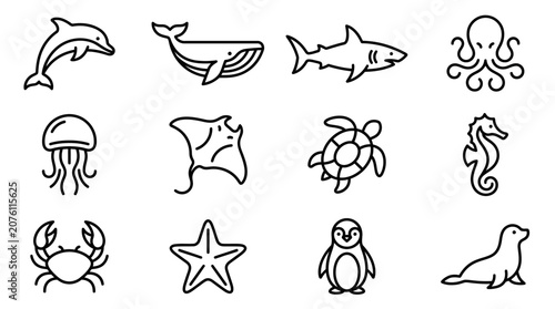 Photography Marine animals icons line drawings.