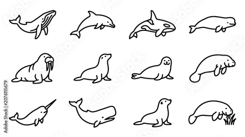 Tableau sur toile Marine Mammals Sea Creatures Line Drawings.
