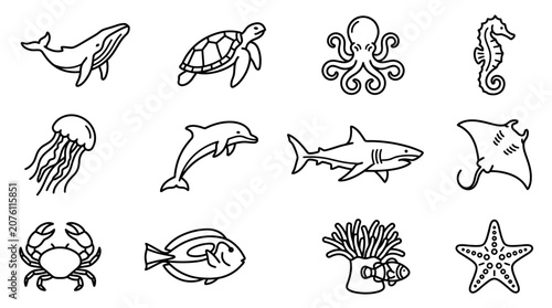Photography Marine animals illustrations set 3.