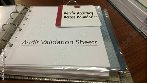 Professional Audit Validation Sheets for Ensuring Accuracy in Organizational Processes and Document Control