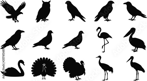 Foto Bird species silhouettes and wild aviary fauna icons black vector illustration s