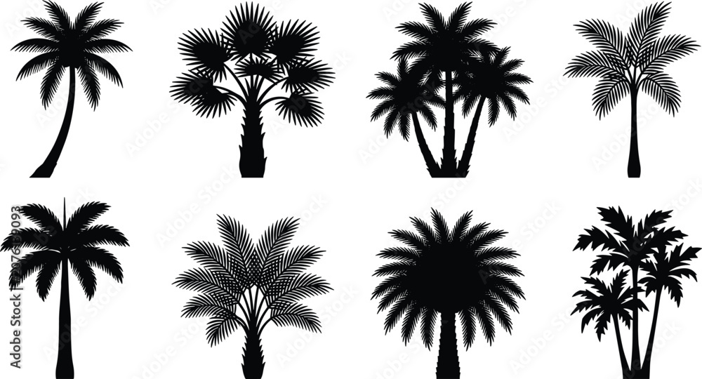 Fototapeta premium Elegant collection of diverse palm tree silhouettes showcasing tropical botanical variety