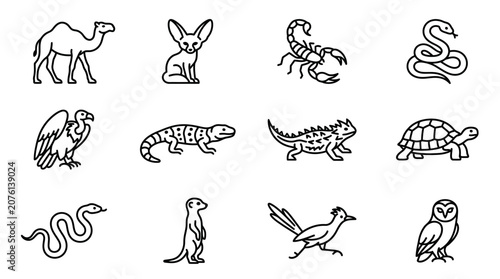 Foto Collection of various wild animals icons 3.