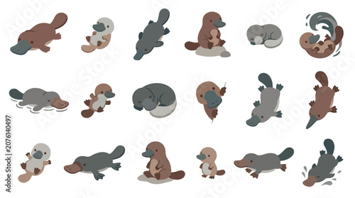 Картината върху платно Collection of cute cartoon platypus illustrations in various poses and activities