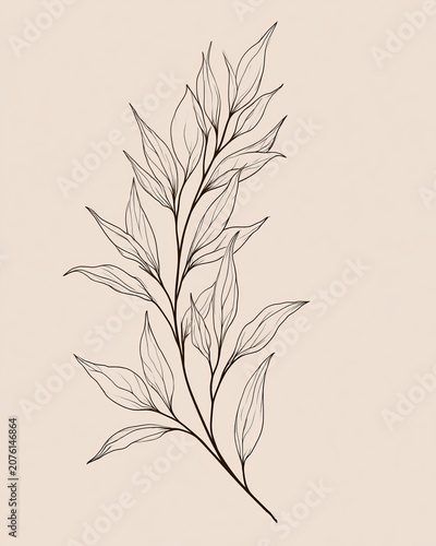 Elegant Botanical Line Art Branch