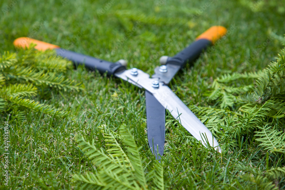 Obraz premium Garden shears on green grass background. Gardening concept.