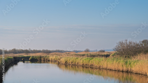 nature sceneries inside the lagoon in the river Po Delta with a clear sky in the background, Porto Levante, Rovigo, Italy