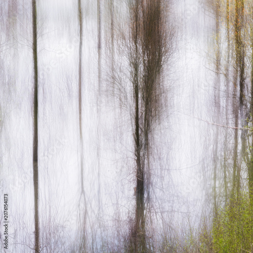 Картината върху платно abstraction of trees reflected in a ditch on the banks of the Po River, Castelma