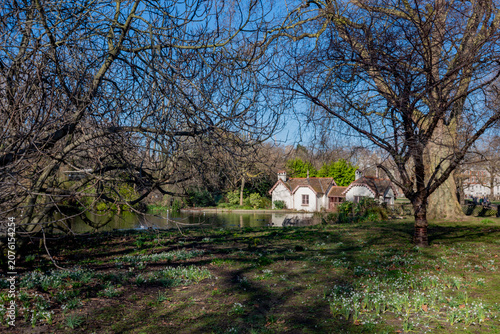 Duck Island Wildlife Habitat in St James's Park London

DESCRIPTION

Duck Island Cottage and lakeside habitat surrounded by mature trees in St James's Park, London. The urban nature reserve supports 