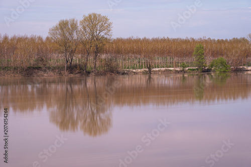 nature sceneries along the Po river embankments in Castelmassa area with a cloudy sky in the backgrounds, Rovigo, Italy