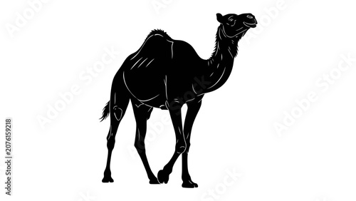 Fotografie Silhouette of a Camel: A striking black silhouette of a camel, highlighting its distinctive humps and regal posture, walking with purpose