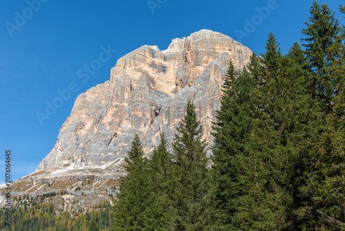 Massive Dolomite rock face rising above evergreen forest under clear blue sky, Italy