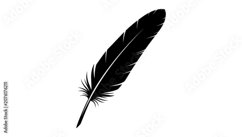 Obraz na plátně Black Feather Detail: A single, elegant black feather, its delicate barbs fanned out, stands out against a clean white background, evoking a sense of lightness and natural beauty