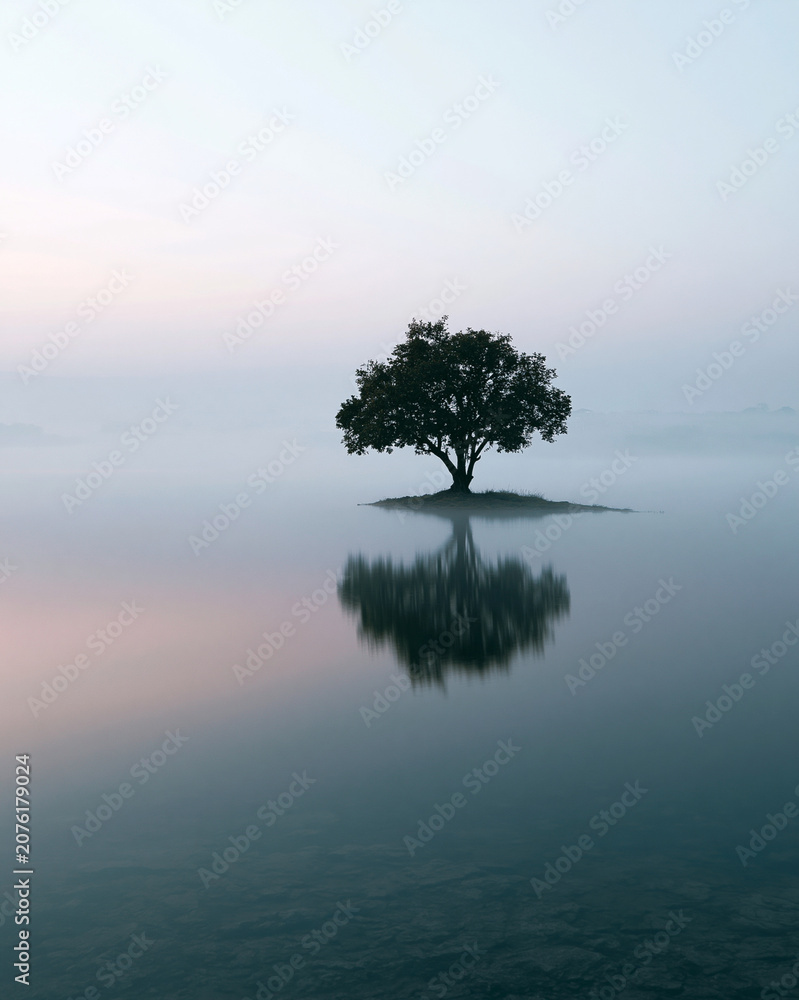 Obraz premium Single tree stands alone on misty water. Its reflection mirrors perfectly in calm surface. Sky fades gently from pale pink to soft blue. 