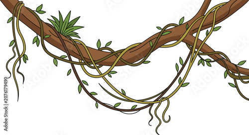 Tropical jungle liana vines with green leaves, rainforest hanging creeper branch flat vector illustration