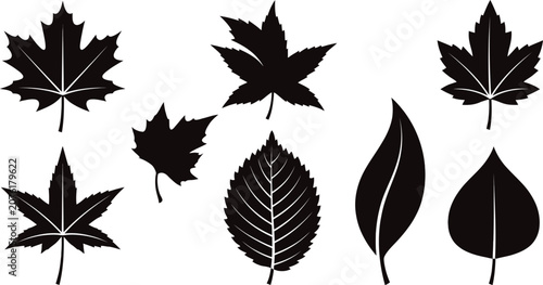 Foto Set of autumn leaves silhouettes, black collection of maple, birch, and oak leaf