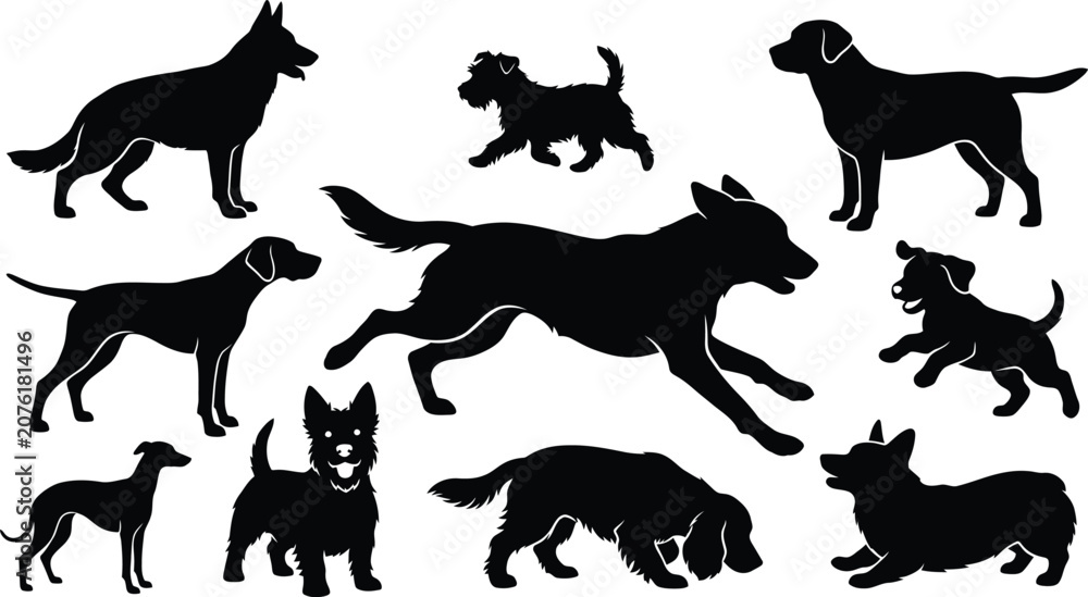 Obraz premium Dogs of various breeds are depicted as black silhouettes on a white background.