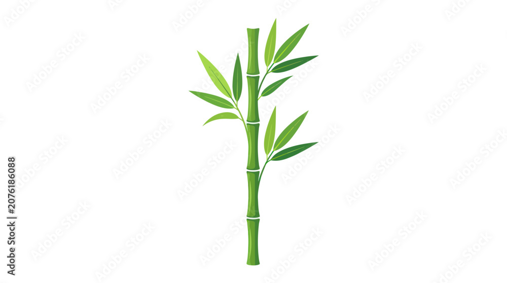Obraz premium An isolated bamboo plant with green leaves on a white background