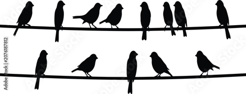 Tableau sur toile Birds resting on parallel electrical lines create a repetitive pattern in silhouette