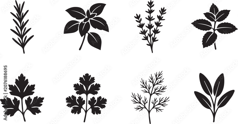 Obraz premium Culinary herbs and aromatic cooking spices black silhouettes collection featuring rosemary basil parsley thyme and mint concepts