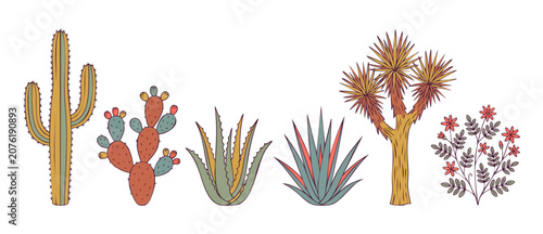 Photos Desert plants cactus vector illustration featuring handdrawn saguaro, prickly pear, aloe, joshua tree, and agave icons isolated on white background for retro bohemian southwest botanical design