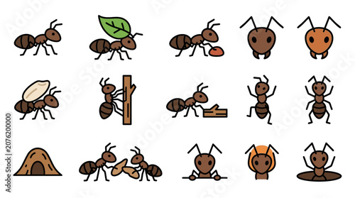 Ant Icon Set: Insect Collection, Wildlife, Nature, Cute Cartoon Style