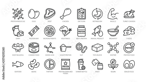 Obraz na plátně Outline vector icons illustrating protein rich food sources nutrition diet plan