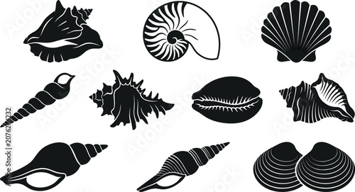 Fotografía Ocean Seashell and Marine Mollusk Silhouette Vector Icon Set Featuring Nautilus