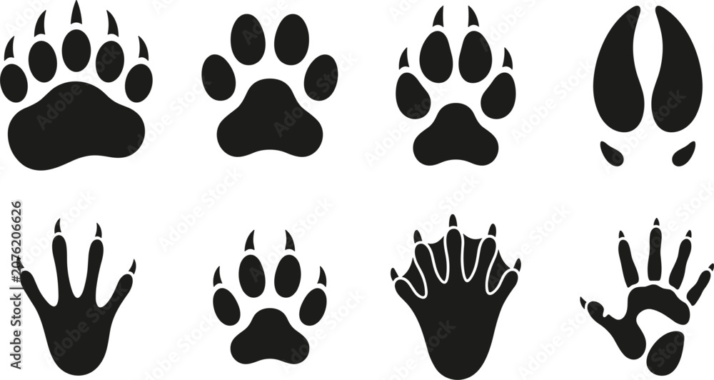 Fototapeta premium Wild Animal Footprint and Paw Print Silhouette Vector Icon Set Featuring Bear Cougar Wolf Deer and Alligator Tracks for Nature Forest Wildlife Designs