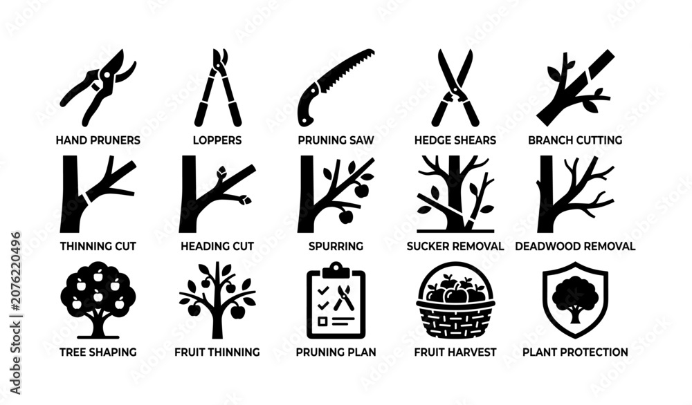 Fototapeta premium Tree pruning and orchard care icons showing tools and operations