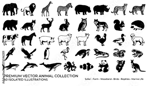 Photography Animal Set Vector Collection with Wildlife Farm Birds and Sea Creatures