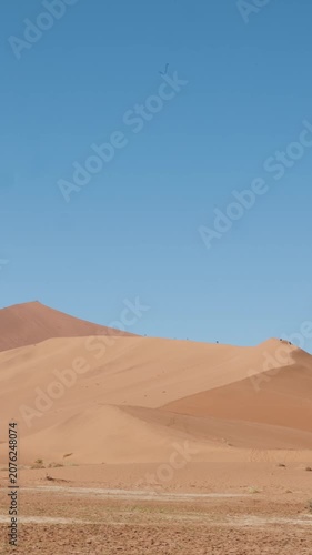 vertical Tourists climbing a massive red dune in Sossusvlei, Namibia