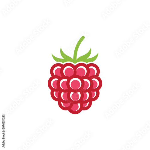 Vibrant Raspberry Illustration with Green Leaf Detail.
