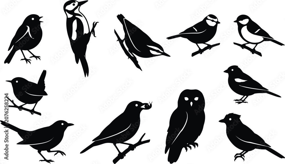 Fototapeta premium Collection of Garden Bird Silhouettes Featuring Perched Songbirds Woodpecker Owl and Forest Wildlife Vector Illustration Set