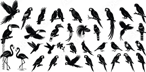 Quadro su tela Toucan Bird Silhouette Collection with Flying Perching Standing and Profile Pose