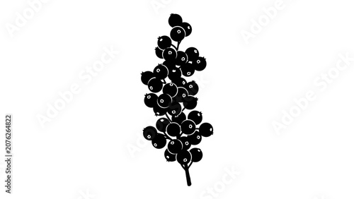 Canvas Print Cluster of Blackcurrants: A stylized black silhouette of a branch laden with ripe blackcurrants, showcasing the fruit's characteristic round shape and clustered arrangement
