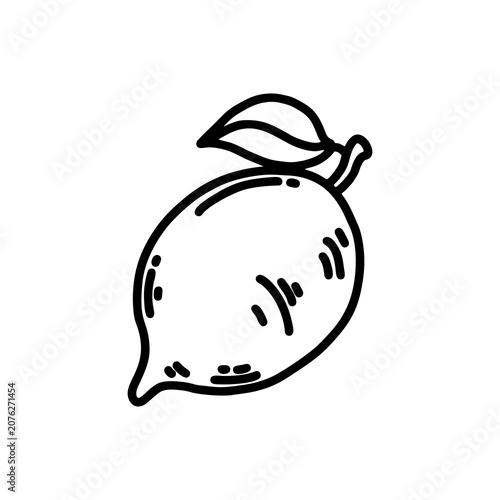 hand drawn vector illustration of a lemon fruit