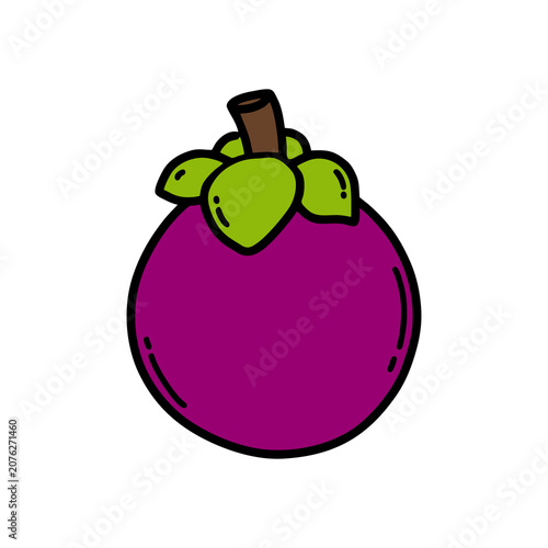 vector illustration of an mangosteen isolated on white