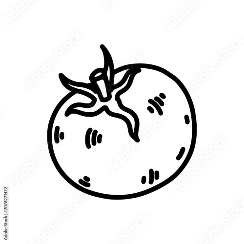 hand drawn vector illustration of a tomato