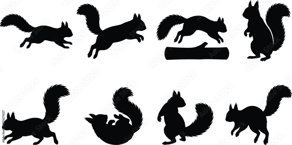 Fototapeta premium Squirrel Silhouette Collection with Running, Jumping and Standing Woodland Animal Poses