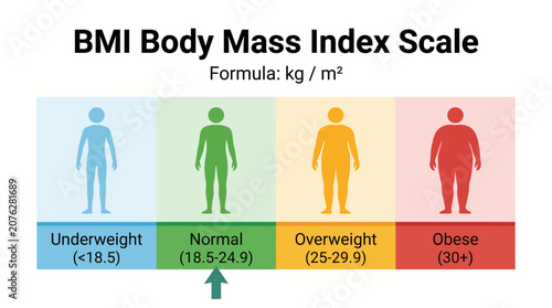 Foto BMI Body Mass Index Scale Infographic Poster Vector Illustration