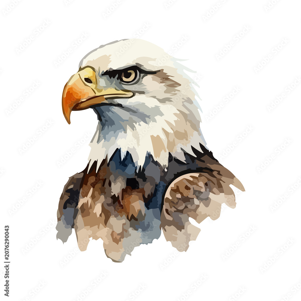 Obraz premium Watercolor illustration of a USA bald eagle