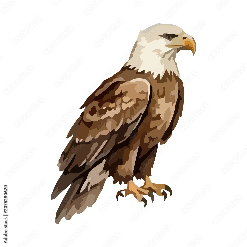 Fototapeta premium Watercolor illustration of a USA bald eagle