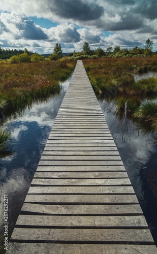 Fotografía Photograph taken from a wooden boardwalk crossing the moorland of the High Fens