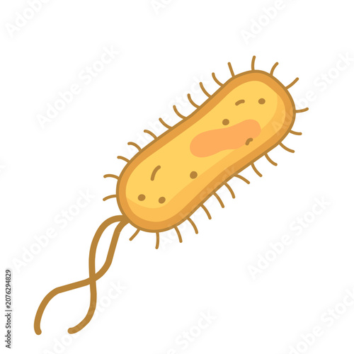 Foto E coli bacteria vector illustration