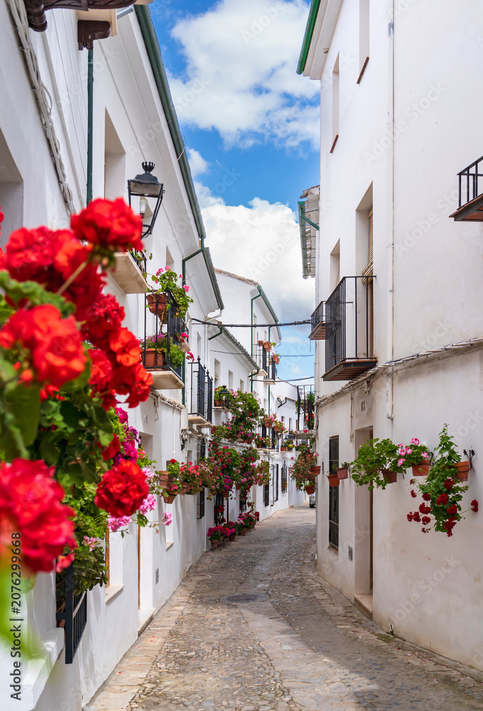 Fototapeta premium Charming Spanish cobblestone alleyway in Andalusia, adorned with vibrant red flowers and white stucco walls.