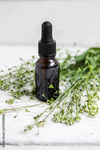 Herbal medicinal flower plant Capsella bursa-pastoris, commonly known as shepherd's purse or lady's purse small herbal medicinal flower. Tincture in a bottle on white wood board background.